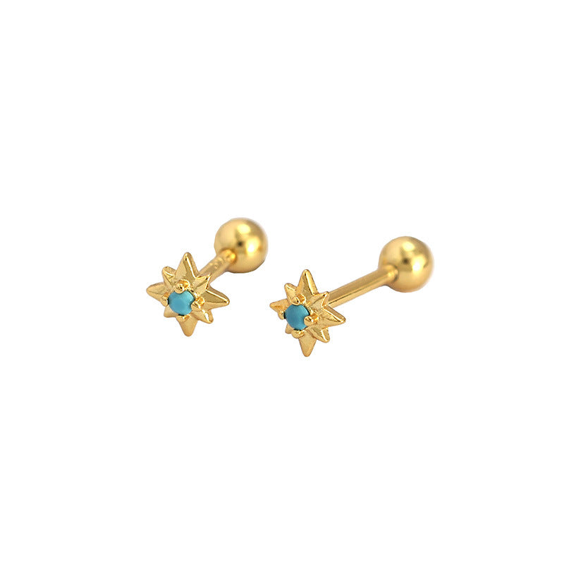 Mini CZ Eight Pointed Star Screw 925 Sterling Silver Stud Earrings
