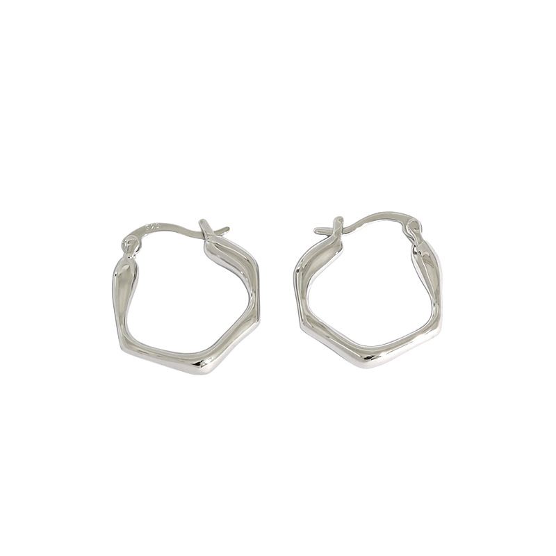 Fashion Irregular Geometry 925 Sterling Silver Hoop Earrings